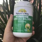 nature’s-way-ginkgo-biloba-1