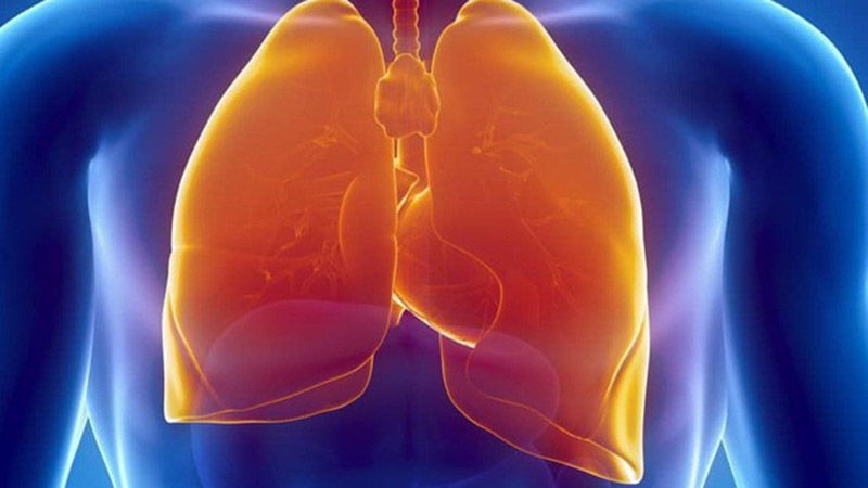 Thực phẩm chức năng bổ phổi là các loại viên uống bổ sung giúp bảo vệ lá phổi