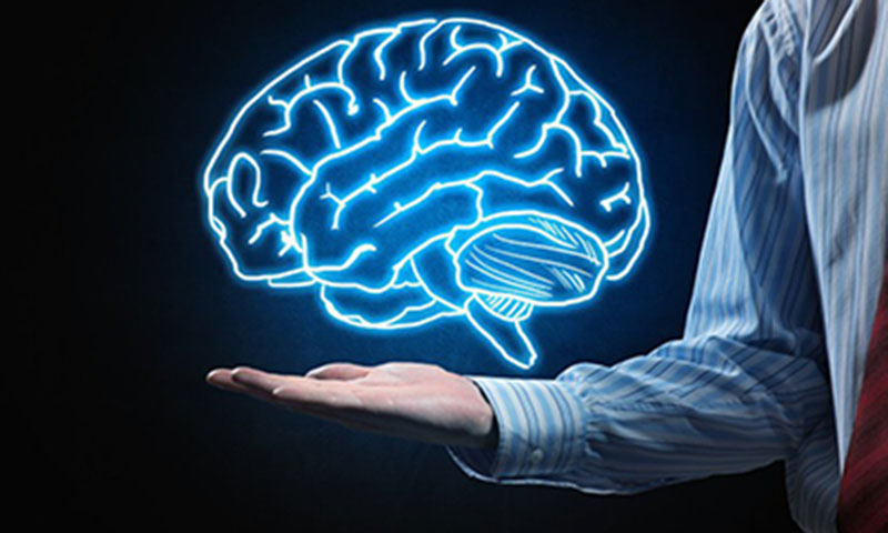 Thực phẩm chức năng tăng trí nhớ là các loại thuốc bổ cho não