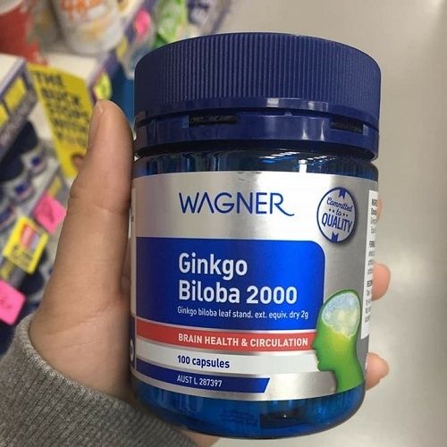 wagner-ginkgo-biloba-2000-500-500-2