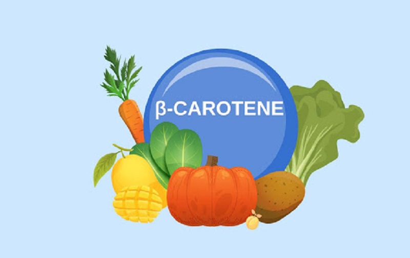 Tiền chất của vitamin A chính là Beta Caroten