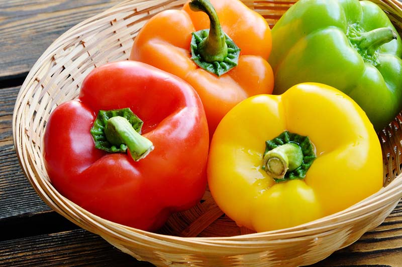 Ớt chuông hay trái ớt ngọt là một trong những thực phẩm chứa nhiều vitamin A nhất