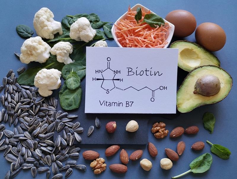 Biotin giúp con người luôn trong trạng thái khỏe mạnh, giàu năng lượng