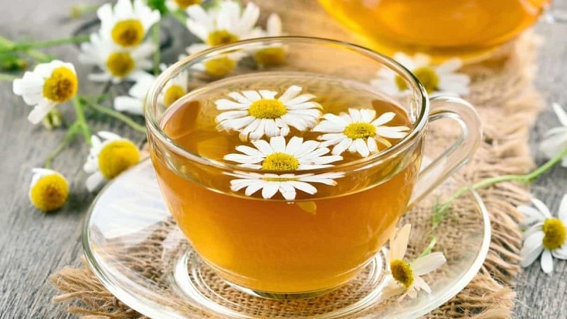 Trà thảo mộc như trà hoa cúc có thể cải thiện tình trạng đau đầu mất ngủ