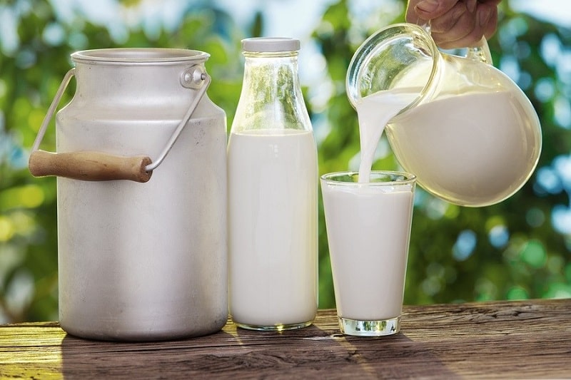Sữa là thực phẩm rất bổ dưỡng và cần thiết cho người bị thoái hóa cột sống