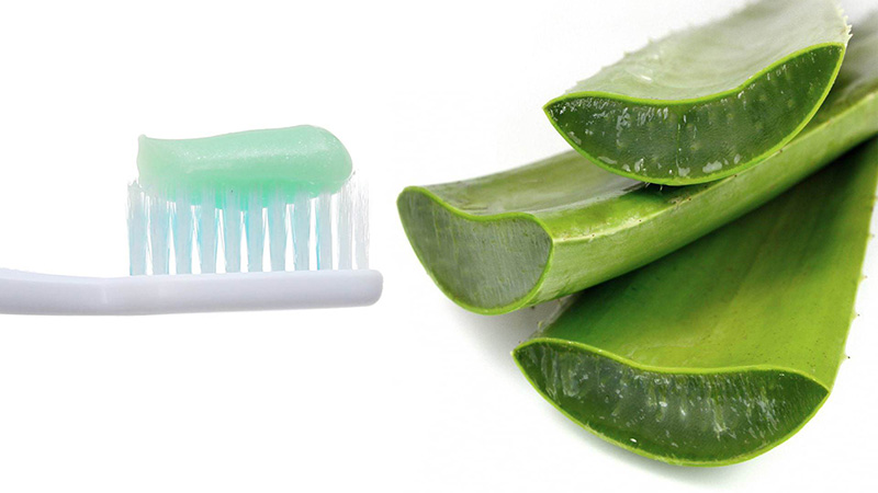 Nha đam và kem đánh răng là “bộ đôi” trị mụn hiệu quả