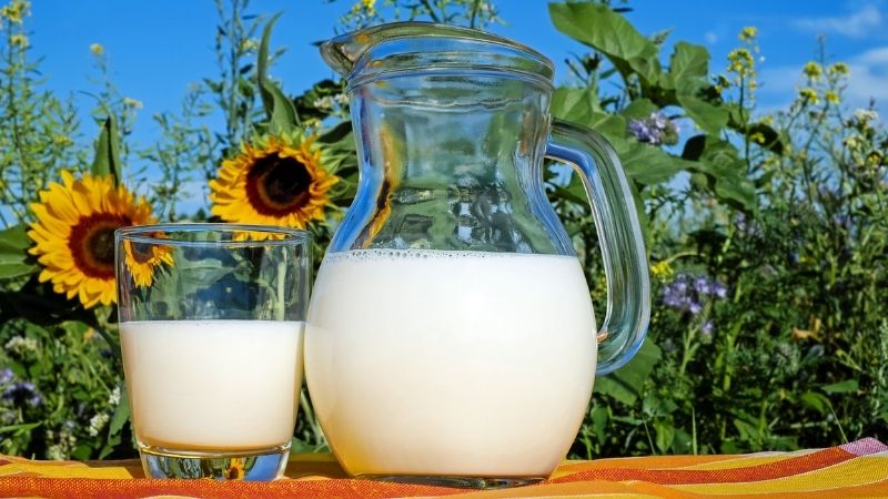 Uống sữa gì để giảm cân? Sữa tươi không đường