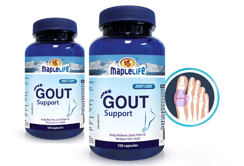 Viên uống giảm triệu chứng gout hiệu quả Gout Support Maplelife