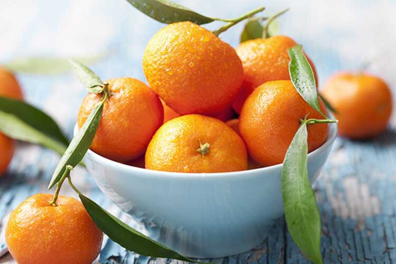 Bà bầu nên ăn nhiều trái cây họ nhà cam, quýt