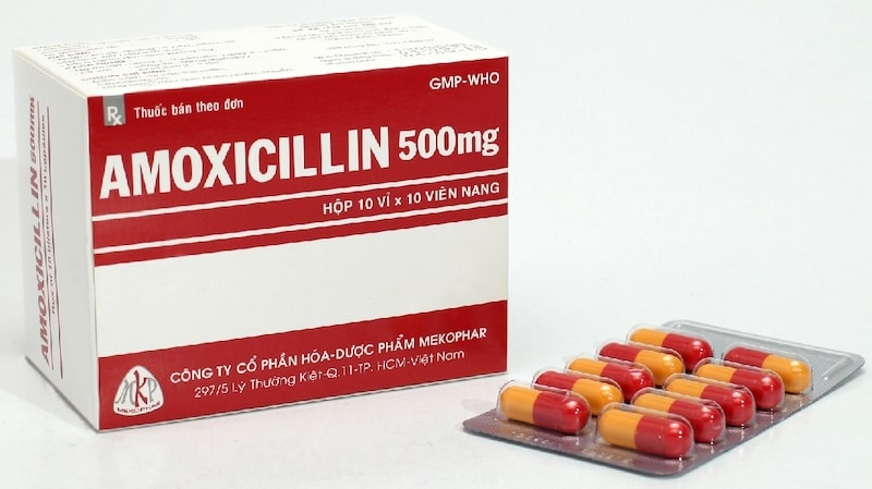  Amoxicillin là thuốc sử dụng cho các trường hợp viêm lợi