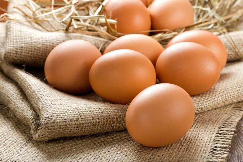 Trứng gà là nguồn axit amin vô cùng tuyệt vời đối với cơ thể