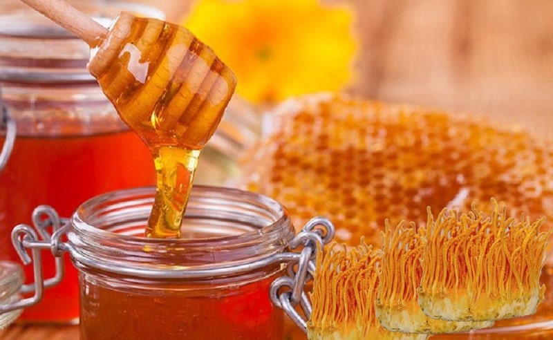 Đông trùng hạ thảo ngâm mật ong không chỉ dễ uống mà còn bổ phổi