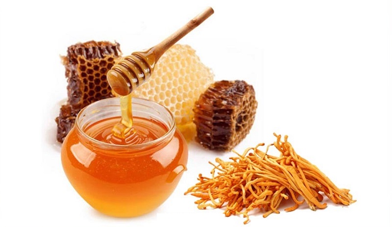 Mật ong khi kết hợp cùng đông trùng hạ thảo sẽ phát huy công dụng tốt đối với sức khỏe