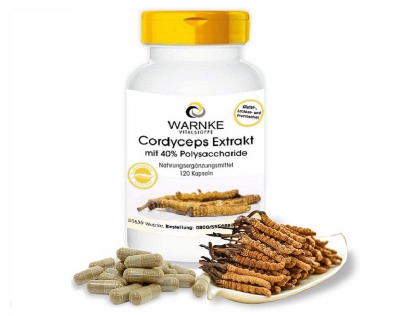 Viên đông trùng hạ thảo của Đức Cordyceps Extrakt có chiết xuất từ nguyên liệu tự nhiên