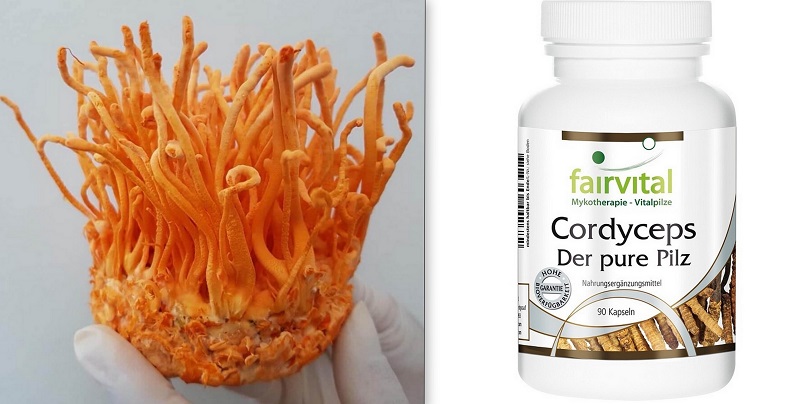 Fairvital cordyceps der pure pilz  là sản phẩm đang được thị trường ưa chuộng