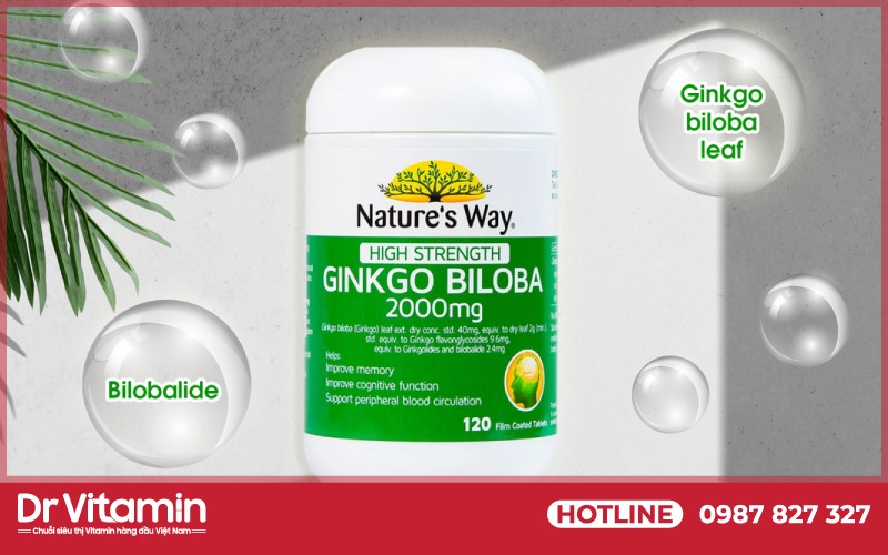 Nature's Way Ginkgo Biloba phù hợp với những người có hiện tượng bị suy giảm trí nhớ
