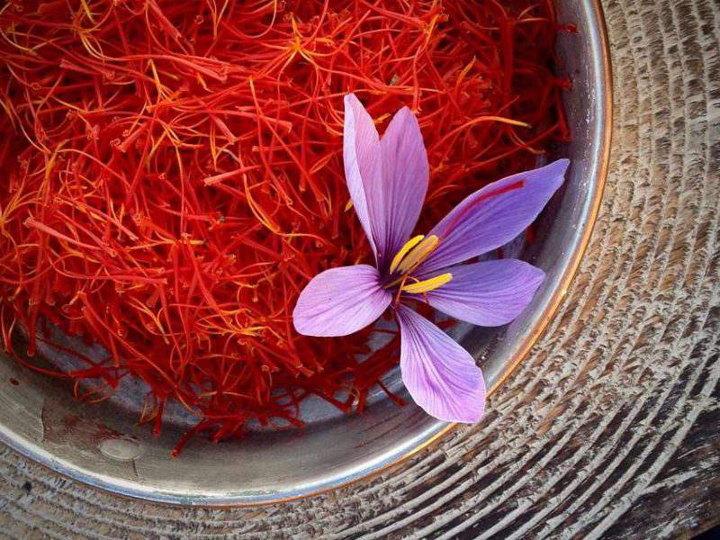 Nhụy hoa nghệ tây- Saffron có hương thơm mạnh và màu sắc đặc trưng
