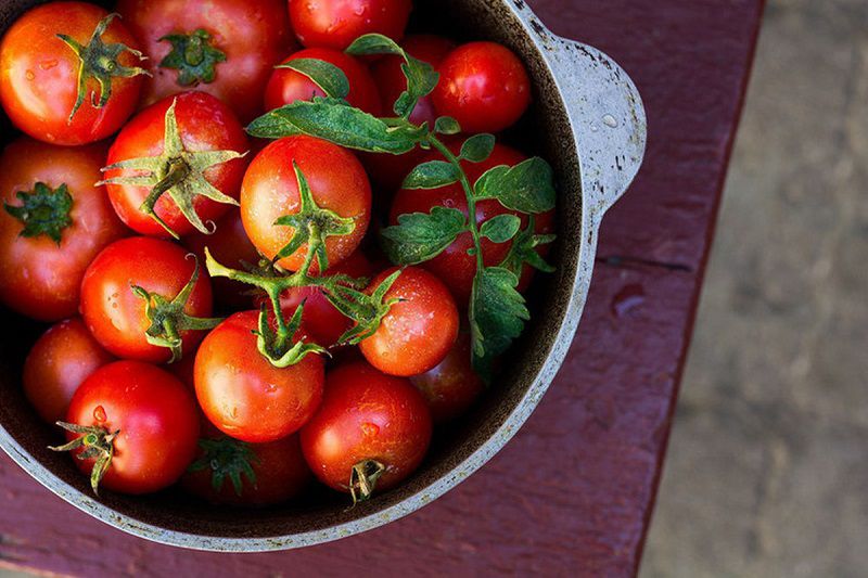 Chế độ ăn cho người huyết áp cao không thể bỏ qua cà chua