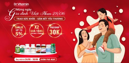 Mừng Ngày Gia Đình Việt Nam