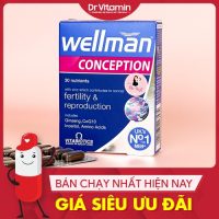 Wellman-Conception-1