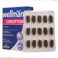 Wellman-Conception-5