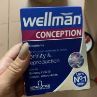Wellman-Concpetion-4