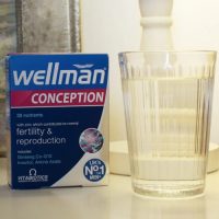 Wellman-conception-2