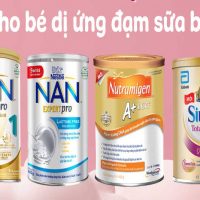 Top 8 Sữa Cho Bé Dị Ứng Đạm Bò Tốt Nhất Hiện Nay