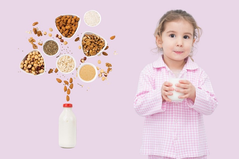 Lưu ý trong quá trình sử dụng các loại sữa hạt cho trẻ