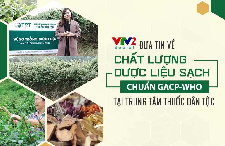 Dược liệu sạch Thuốc dân tộc