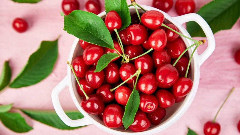Quả cherry có tác dụng cải thiện chất lượng giấc ngủ