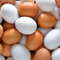 Người Bệnh Trĩ Có Ăn Được Trứng Gà Không? Lưu Ý Quan Trọng
