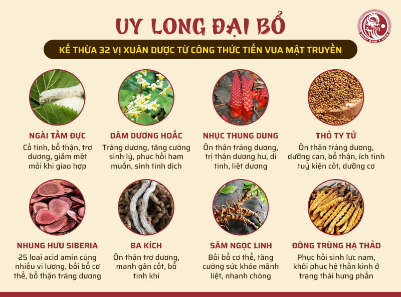 Một số vị thuốc nổi bật trong Uy Long Đại Bổ